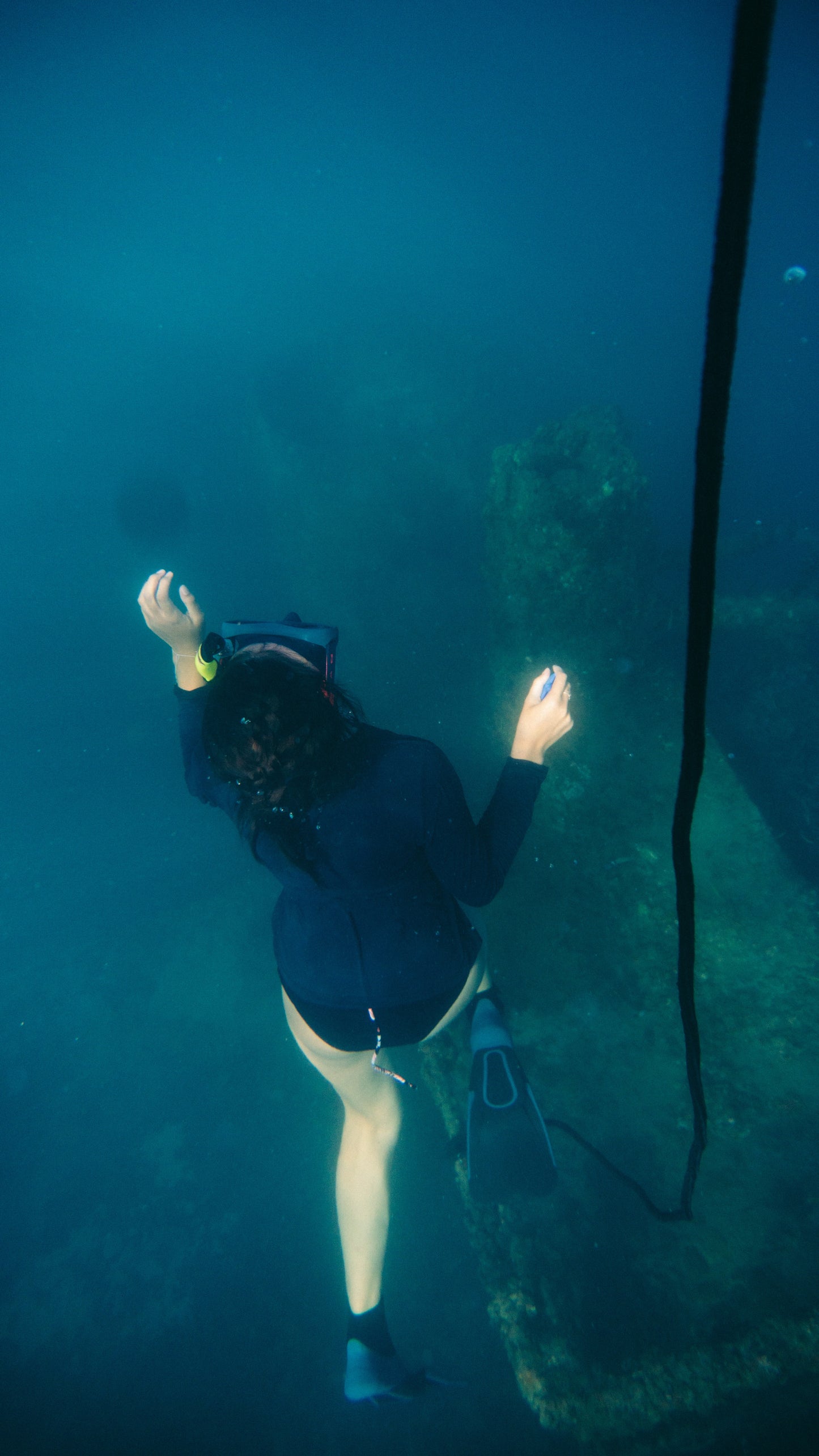Certificaciones de Freediving