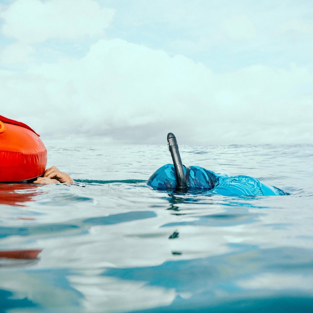 Sesiones de Entrenamiento