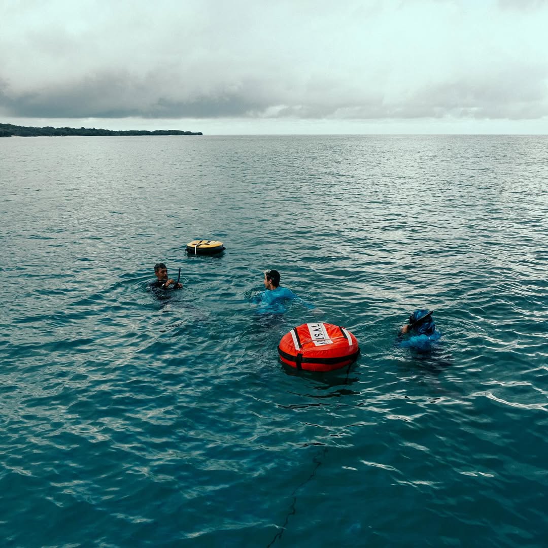 Sesiones de Entrenamiento