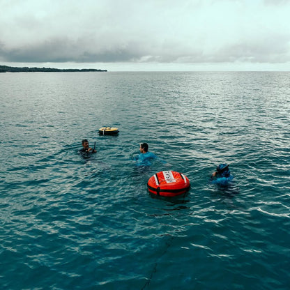 Sesiones de Entrenamiento