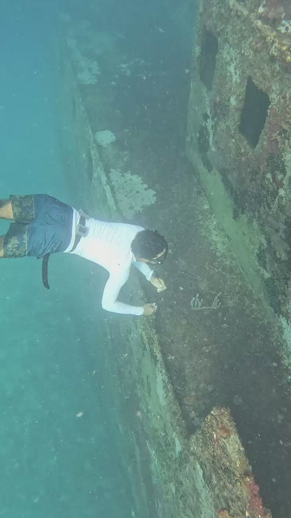 Certificaciones de Freediving